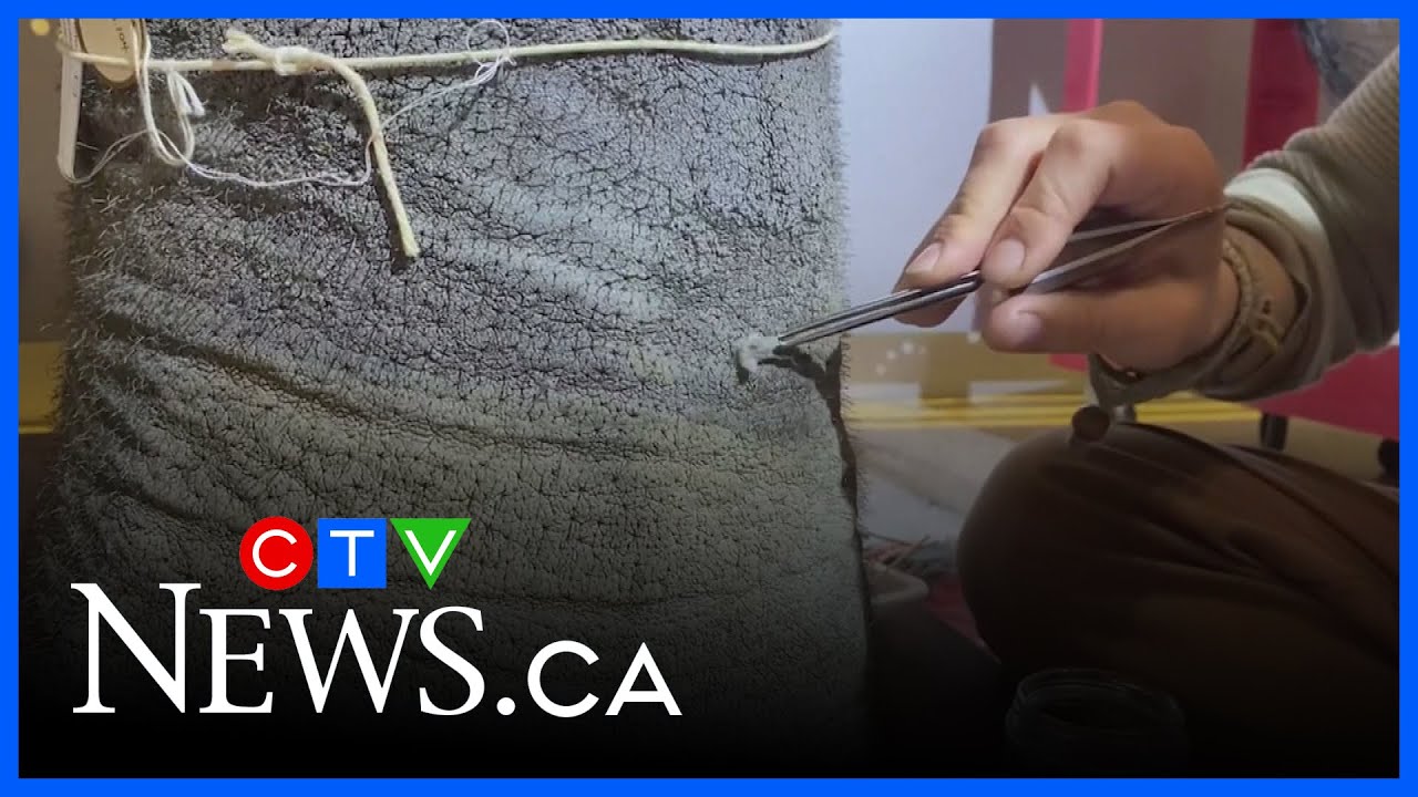 Learning what goes on behind the scenes at the Royal Alberta Museum