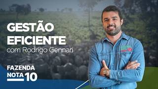 Fluxo de caixa da fazenda para gerar lucro