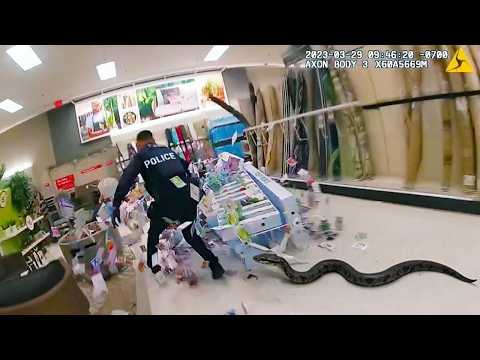 Police vs Wild Animals | Bodycam Captures Everything