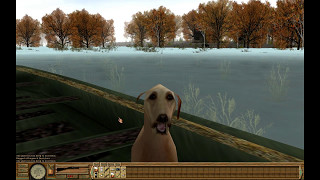 Bird Hunter: Wild Wings Edition for PC