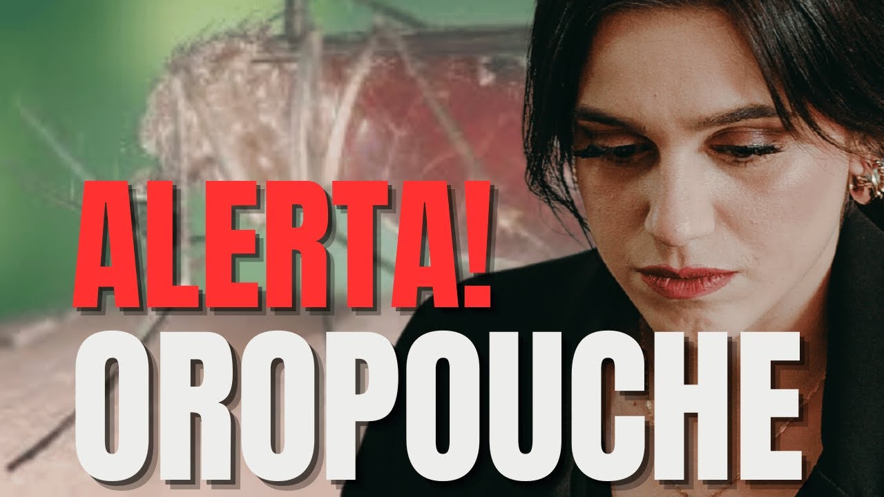 Febre do Oropouche: Tudo o que Você Precisa Saber