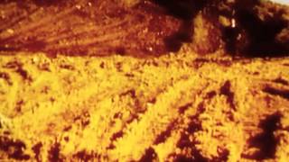 P Lion - Dream (In The Night)(audio remastered by italoco)