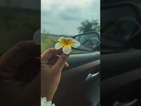 Ru chaya🥀                                            #music #newsong