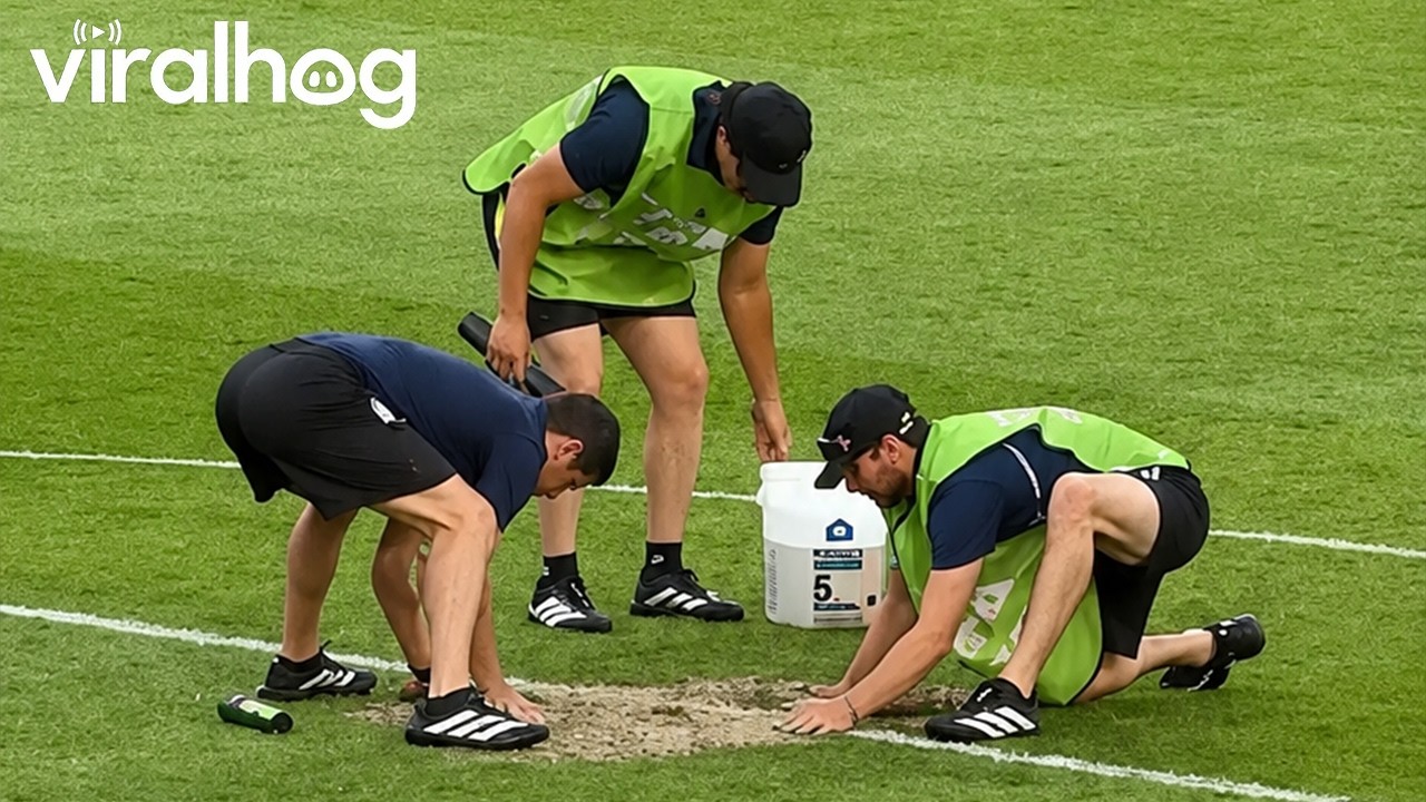 Sprinkler Malfunctions During Halftime at Iraq-Norway World Cup Game || ViralHog