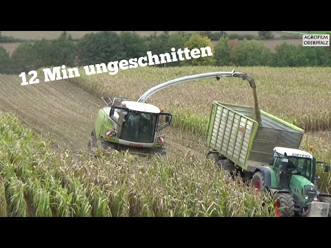12 Min UNCUT - Bergauf im Mais mit dem Claas Jaguar 970 - LU Winderl - Maishäckseln 2022