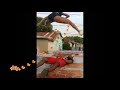 Roof Top Daggerin Dance Jamaican Dance