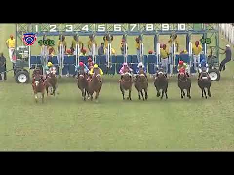 Square the circle wins with D.Stackhouse