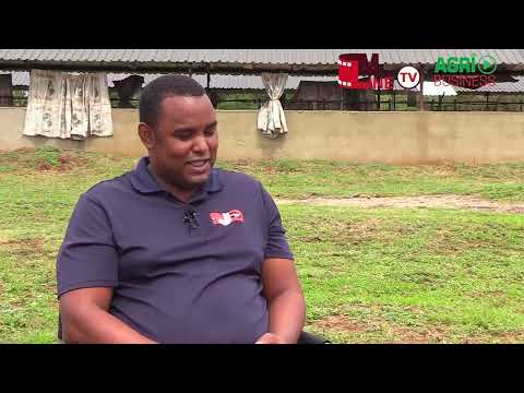 ASILIMENI MASWATI | EPISODE 7: From ICT to Agriculture: Duncan Dlamini's Piggery Success Story