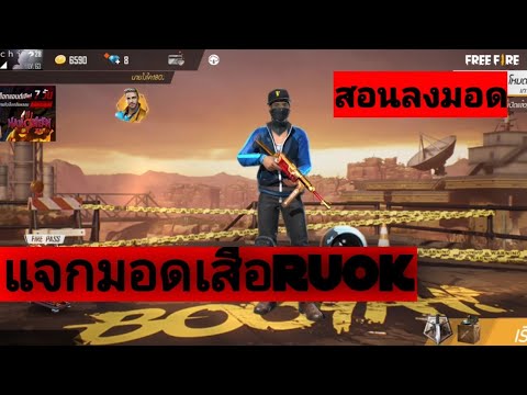 ฟีฟาย ruok