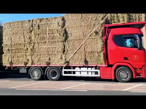 SCANIA TRUCK LORRY HAY STRAW LOAD ON THE A1079 12th April 2021