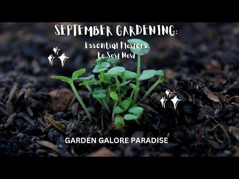 September The Perfect Month to Sow 10 Stunning Flowering Seeds #gardening #flowers #new #video-viral
