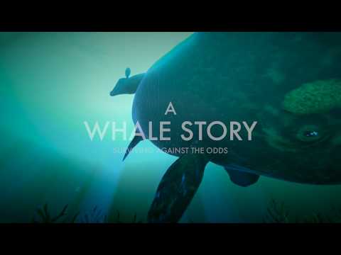 A WHALE STORY: Surviving Against the Odds -Trailer Video