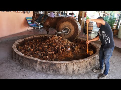 ¿ Como se produz o mezcal artesanal? Em Oaxaca, México