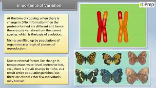 Importance of Variation | How Do Organisms Reproduce? | Science| Cl 10 iPrep