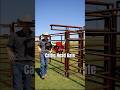 Cattle Head Gate