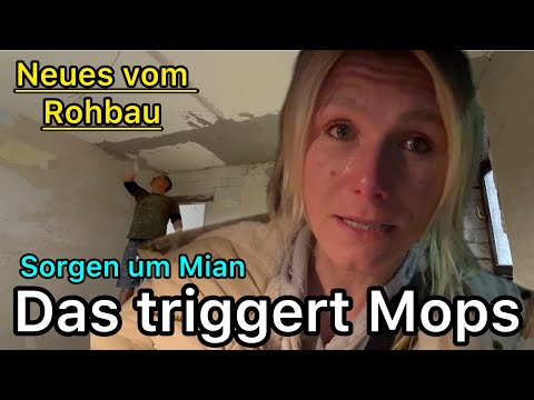 Great excitement and overwhelm | Anger, fear & sadness #renovation