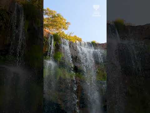 Cerrado - Tesouro - Cachoeira da Usina 1