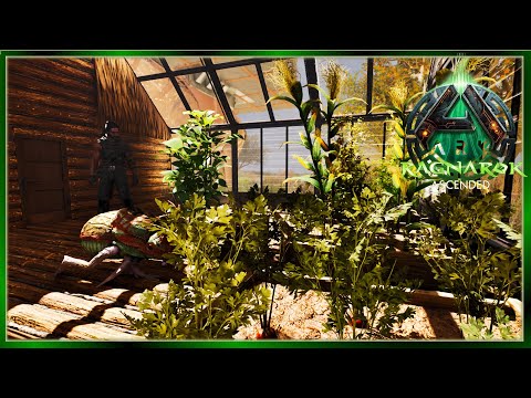 Setting Up the Kibble Factory! Ark Ragnarok Nomad 25