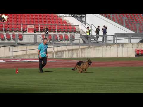 1079 Xander von Tronje - TSB BSZS-2023