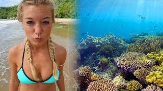 DIVING THE GREAT BARRIER REEF