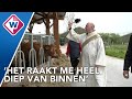 Vee tussen koeienstront gezegend op boerderij