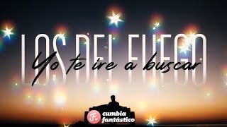 Yo Te Ire A Buscar Lyrics English Translation