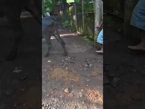 Welcome To Jucuapa El Salvador