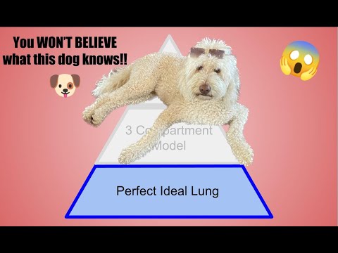 Respiratory Masterclass part 1