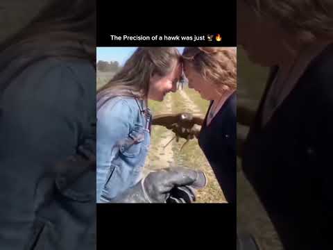 The Precision of a hawk was just 🦅🔥