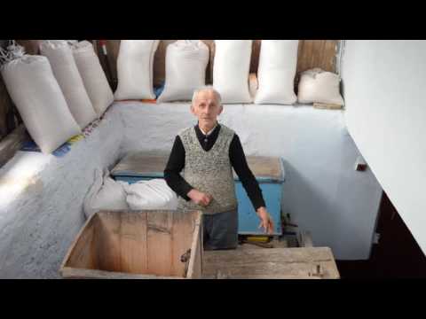 morar   ramet   alba