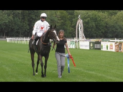 SITA dostihy:  OAKS 2017