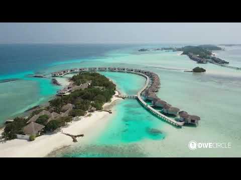 Viaggio sub in Polinesia Francese