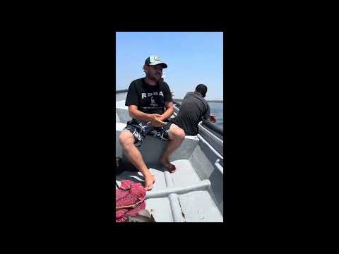 Somos pescadores y aqui andamos pescando , por que en la casa nos viven regañando .