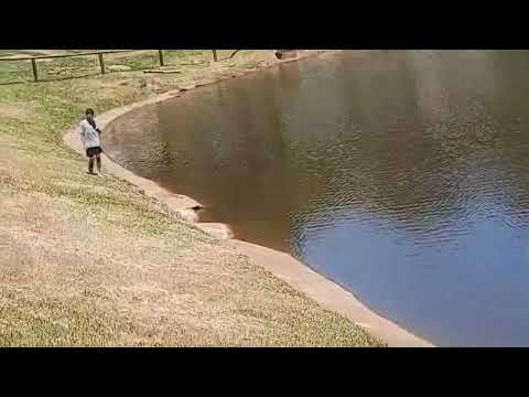 Pessoal mostrando mais  pouco do lago da sidadi de umuarama Paraná para vocês olha como está lindo  
