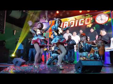 Coroico en vivo Magico Norteño