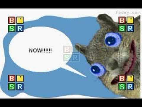 The wierd, annoying squirell