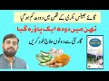 Milk Decrease In One Teat Cow Buffalo کے تھن میں دودھ کم ہو گیا Best 100 Treatmen