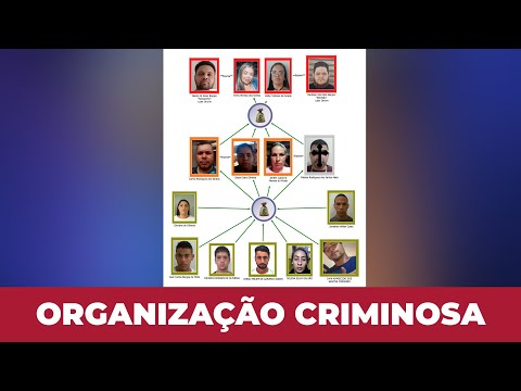 Paraná Civil Police releases names of those involved in the criminal organization "Tropa do Tubar...