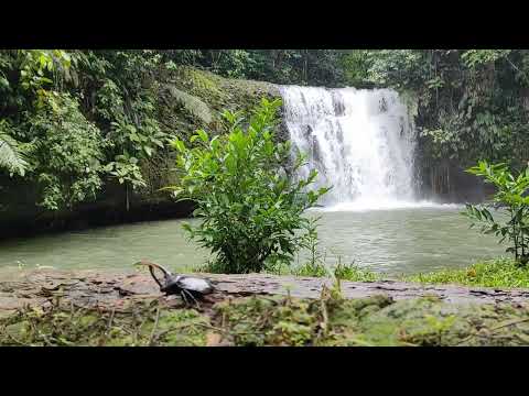 Cascada en el recinto  San Dimas - Pedro Vicente Maldonado - río la Mona.