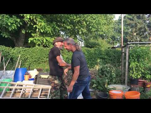 Bester High-Five/Check aller Zeiten