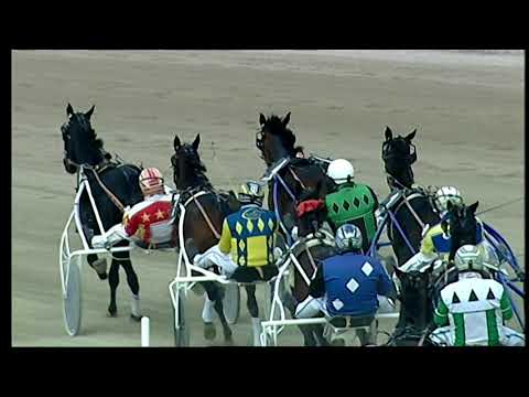 Napoli Trotto 24/10/2021 - 3ª corsa