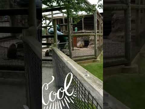 Tha Nature is beautiful!!!. "La Naturaleza es hermosa!!!❤❤😀😀