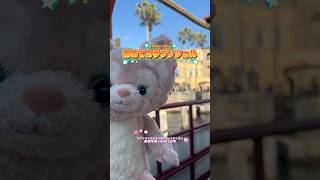 【 ディズニーシー 】初めての“ラプンツェルのランタンフェスティバル”が最高すぎた…！！！！！！