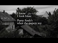 John Cale & Lou Reed - Nobody But You (Lyric Video)