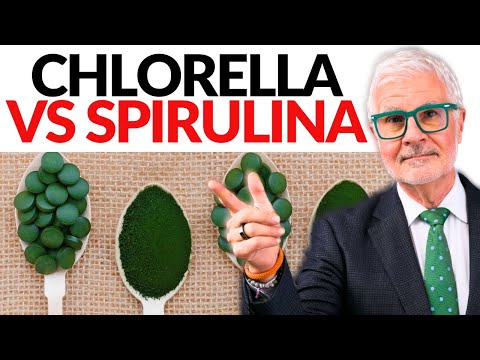 Spirulina vs. Chlorella: Boost Your Mitochondrial Health with Algae Supplements | Dr. Steven Gundry