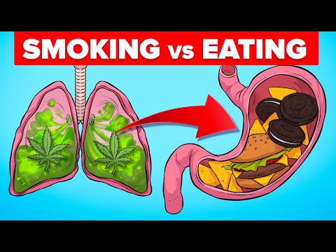Smoking Weed vs Eating Edibles - What Happens to Your Body