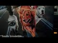 Opening To Homeward Bound II Lost In San Francisco 1996 LaserDisc