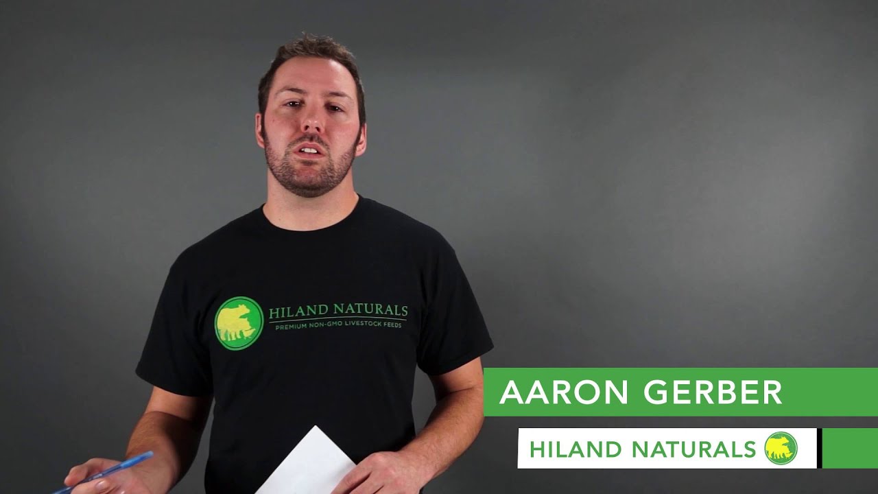 Daniel Klein Testimonial