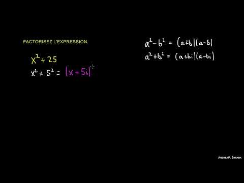 Factorisation d'Expressions 1