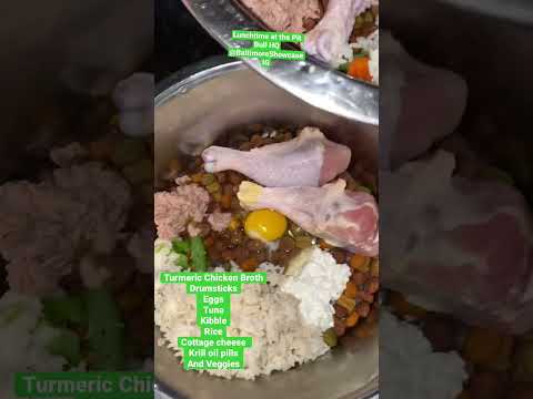 Raw & Kill Diet For Pit Bulls #dog #pets #pitbull #puppy #baby #mom #dogs #pregnancy #shorts #cute